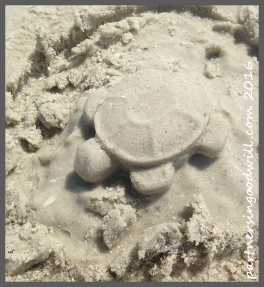 Sand Tortoise Yellow Mold Finished