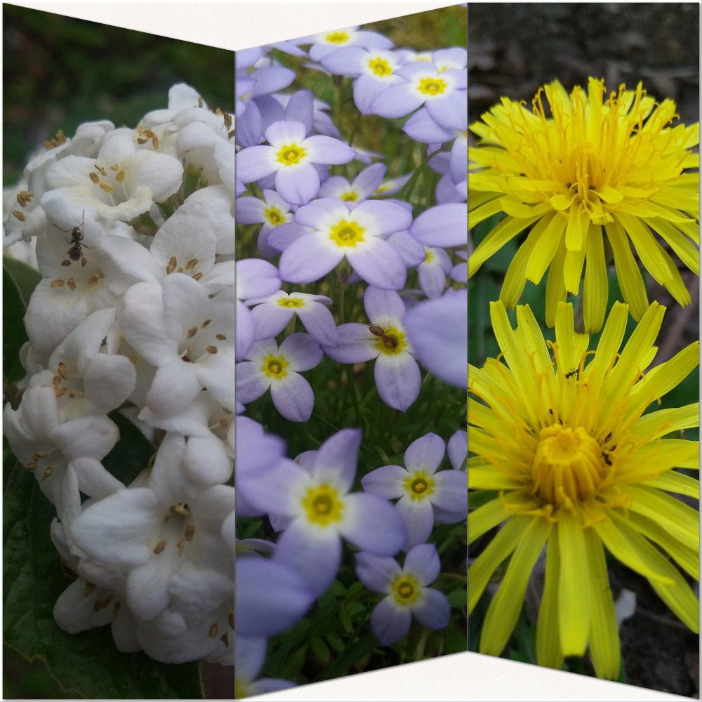 72EC314F-C14A-4055-B38C-F426B03C4803