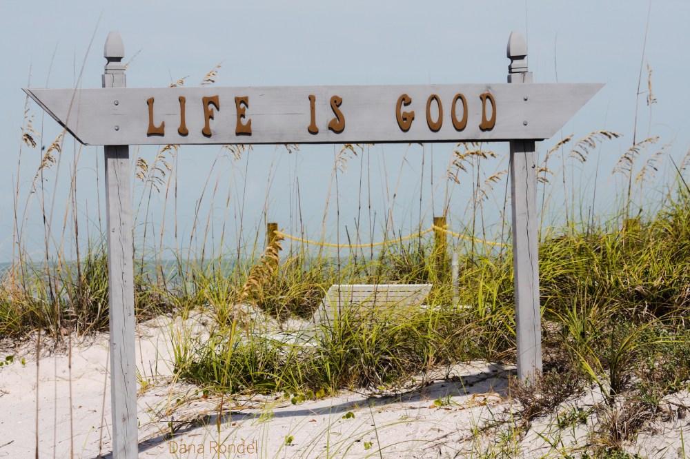 CDD060F8-E8A6-4067-8D4E-EAD80E3B3EB0