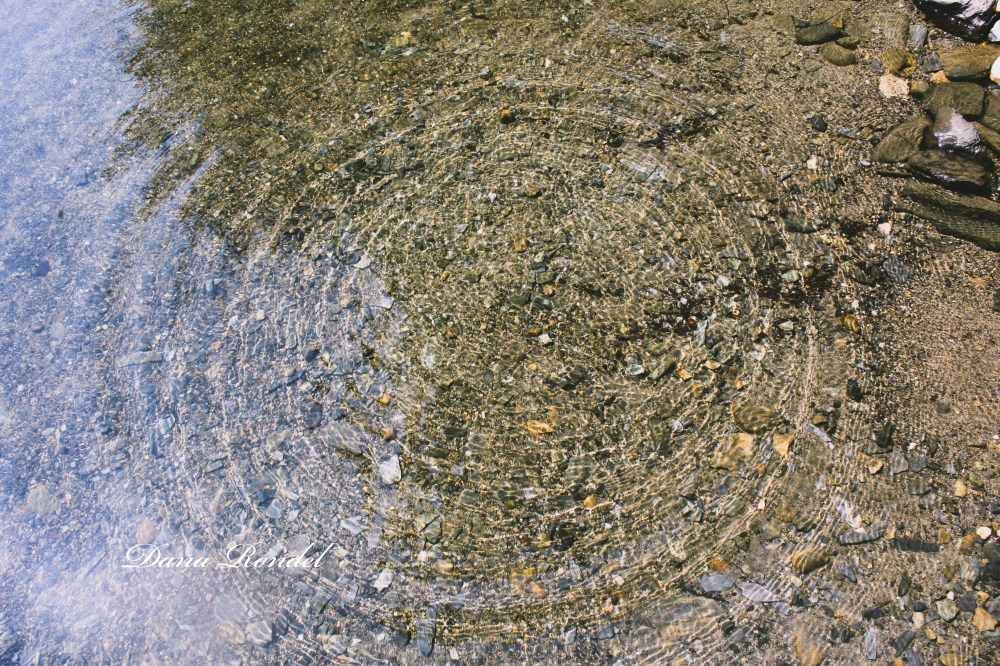 B557288E-A329-4269-A8EF-7E3C006019EA