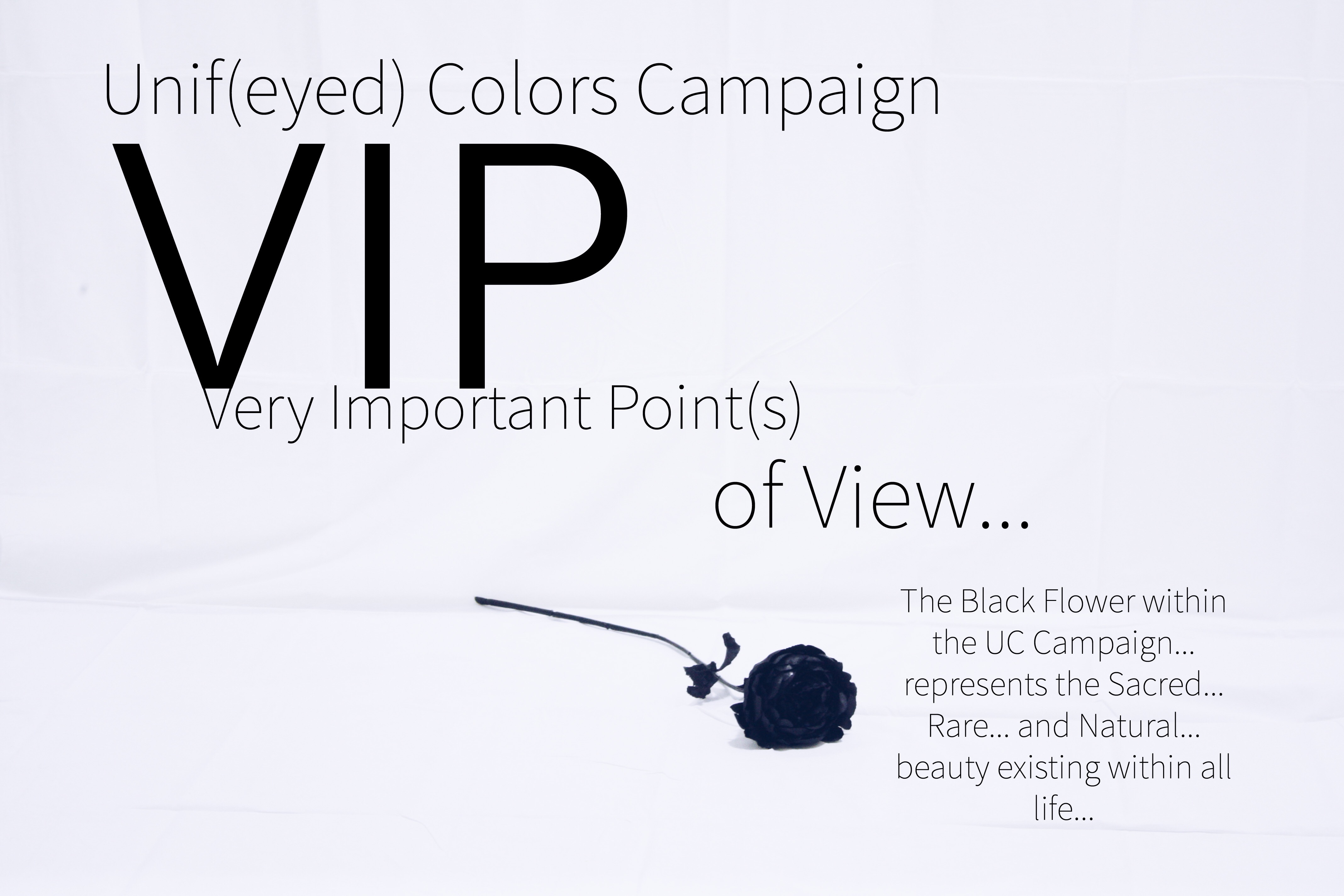 116E8C71-B8DD-4F97-9A31-F6828EFA0B19