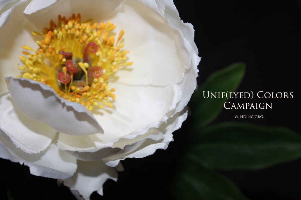 F8777064-DDB7-4E46-AD30-4859FCA40877