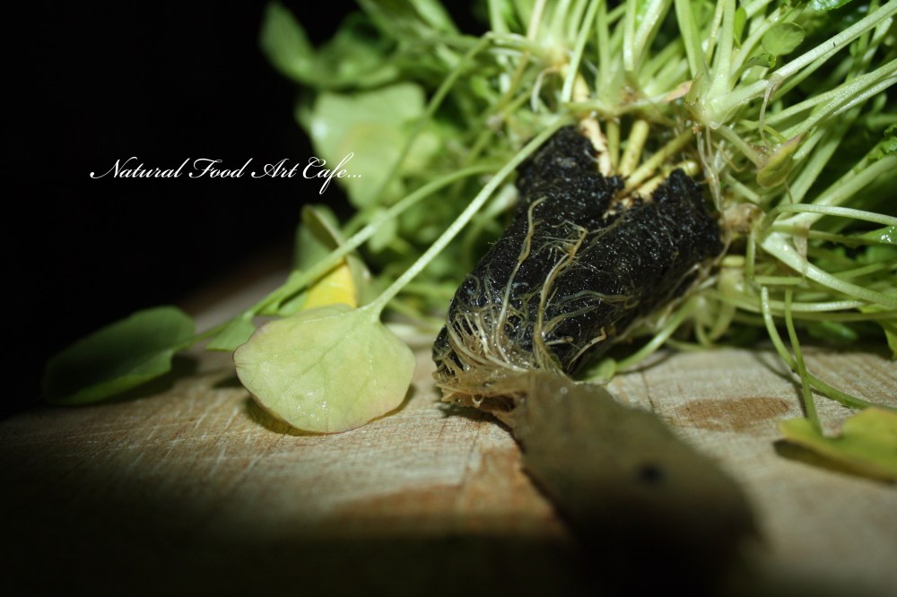 E0FD6872-098F-425A-9911-6AA42486E6F6