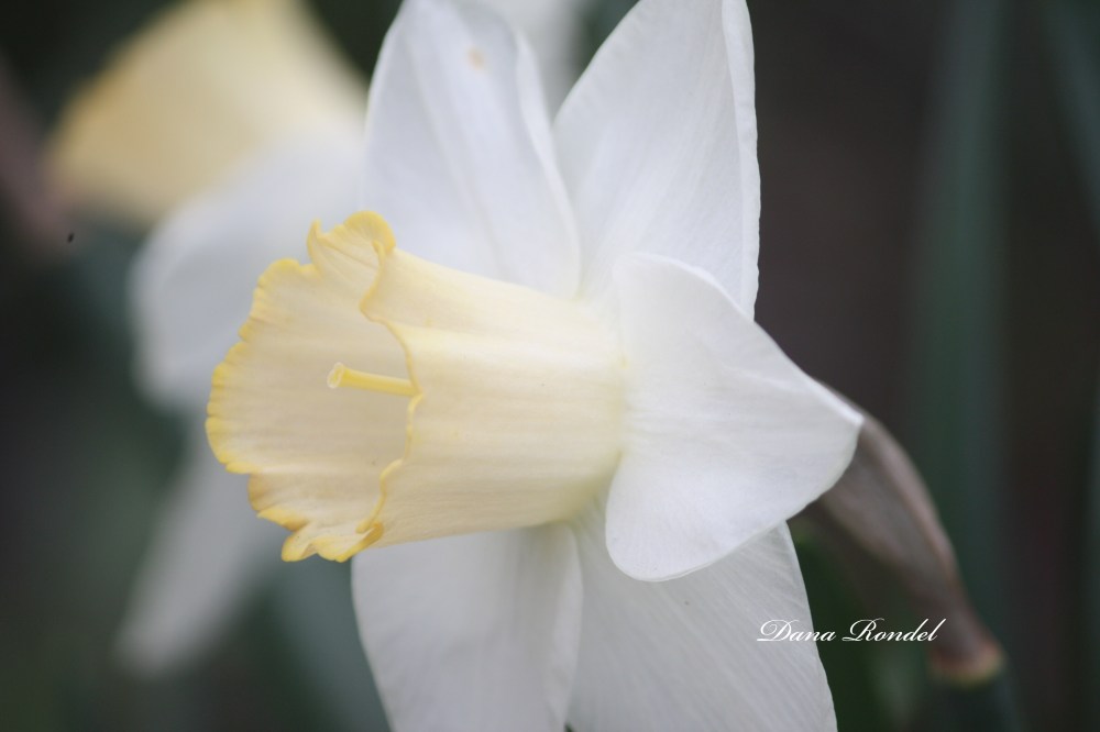 1117FDC8-61E5-4E07-A33B-C48C01D9AC7B