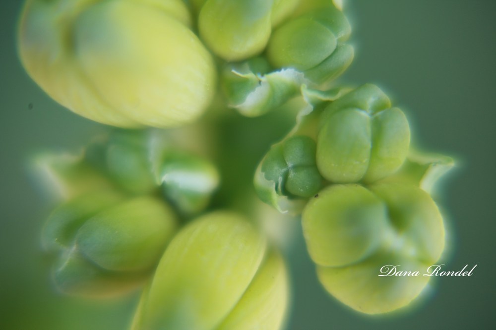 432766FD-FCBC-4226-9F39-15432059BA49